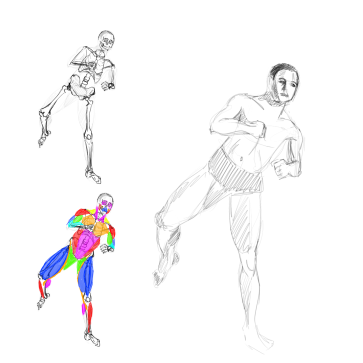 10min + ecorche — figure reference