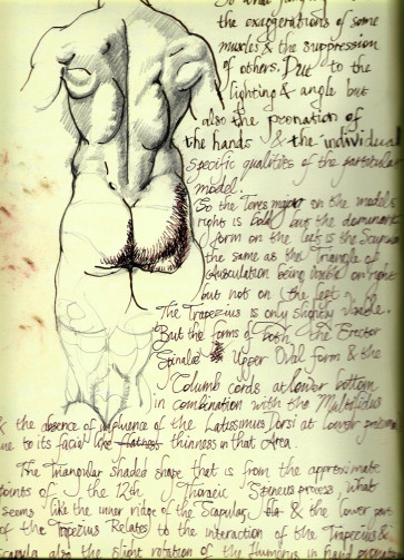 Andrew — figure reference