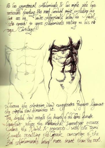 Andrew — figure reference