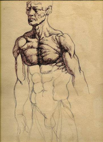 Male Straps revisited — figure reference