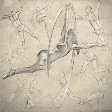 Cyr Wheel study — figure reference