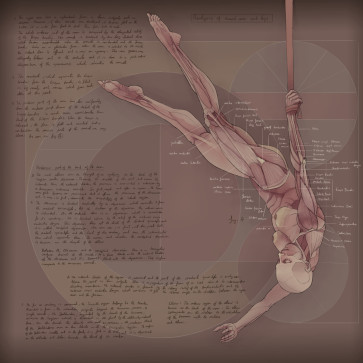 Study IX — figure reference