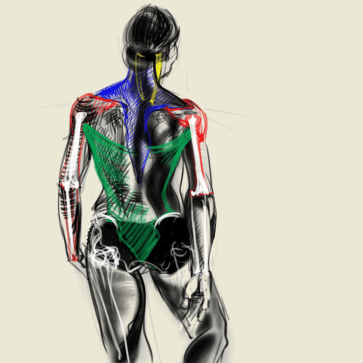 Ballerina — figure reference