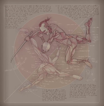 Study XII — figure reference