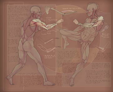 Study XIII — figure reference