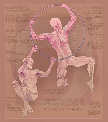 Study XV — figure reference