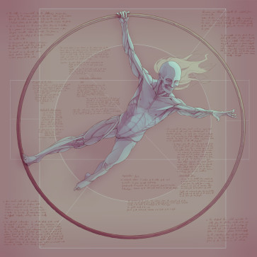 Study XVI — figure reference