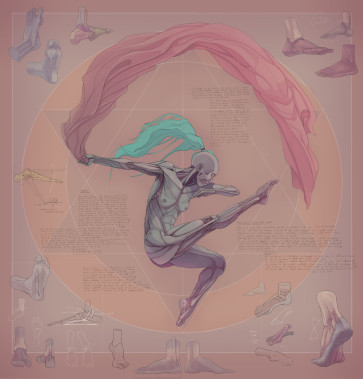 Study XVII — figure reference