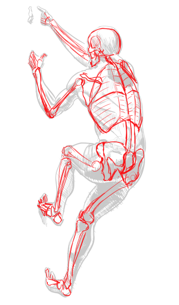 Back View, Inked, Skeleton — figure reference