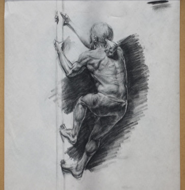 Value Study of Back — figure reference