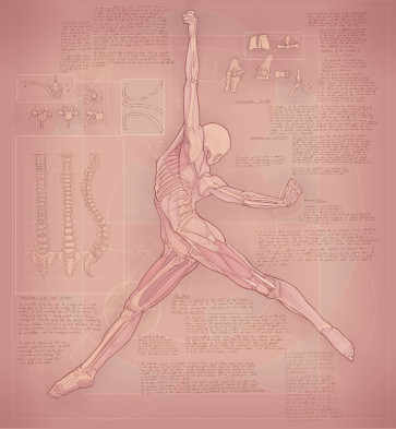 study XXI — figure reference