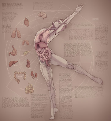 study XXII — figure reference