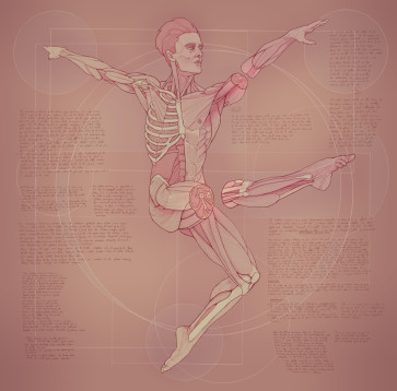 Study XXIII — figure reference