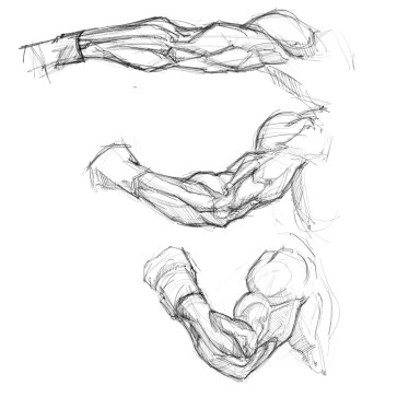 Arm study — figure reference