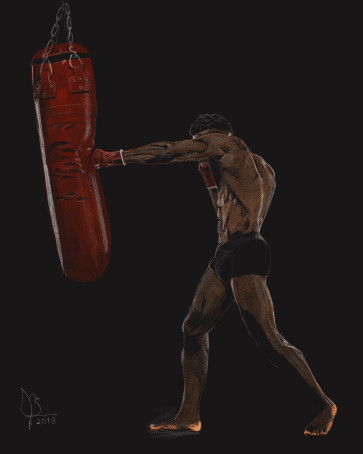 Boxer — figure reference