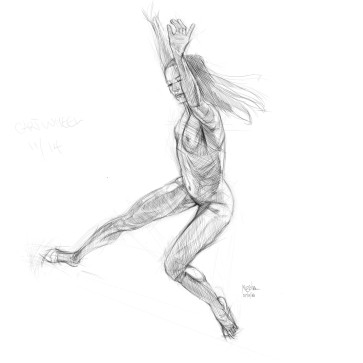 Circuswheel — figure reference