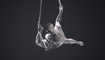 anatomy study — figure reference