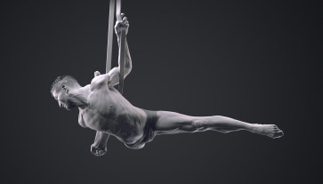 anatomy study — figure reference