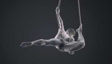 anatomy study — figure reference