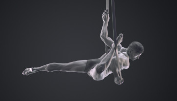 anatomy study — figure reference