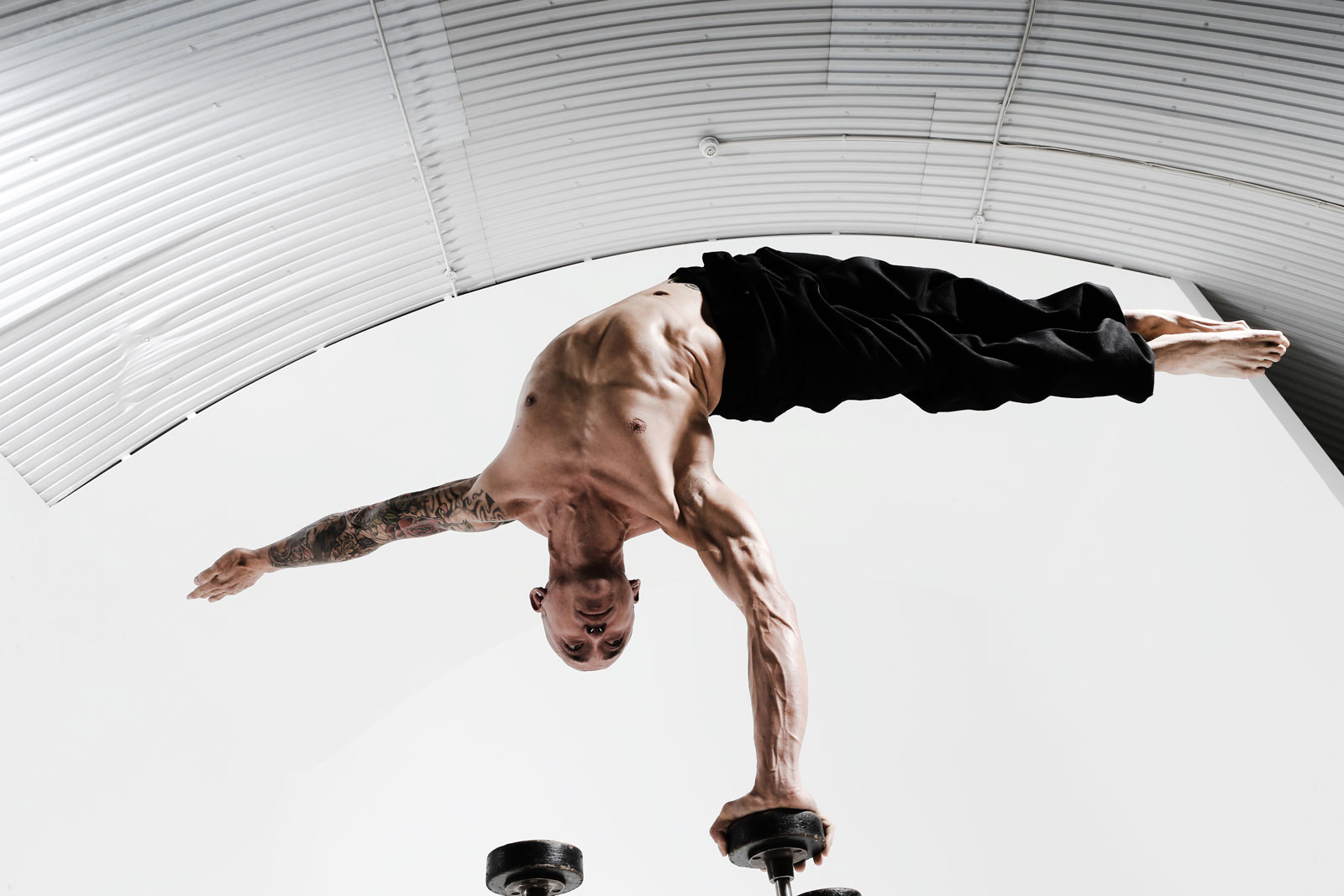 Bodies in Motion III