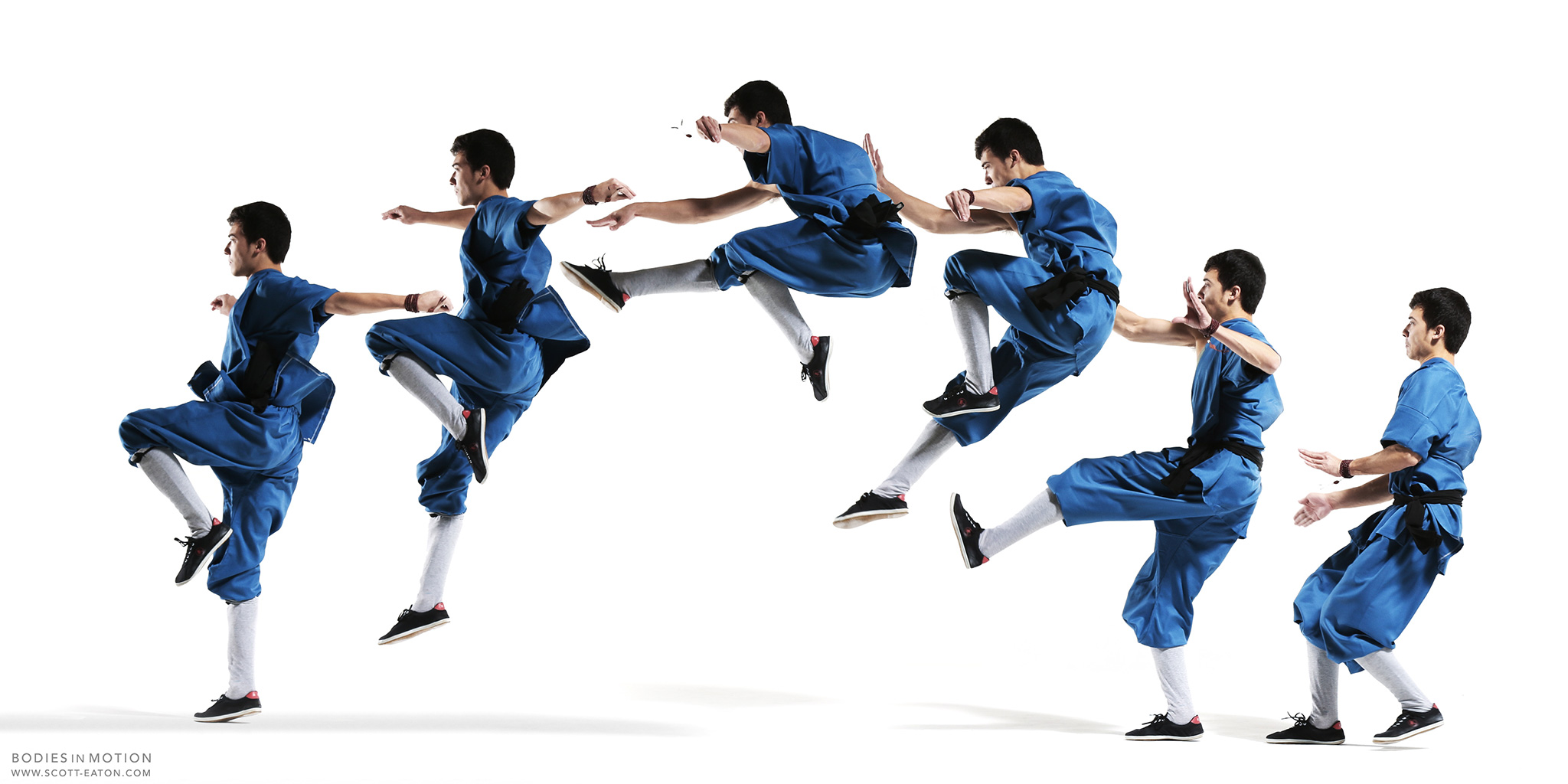 Bodies in Motion V:  martial arts