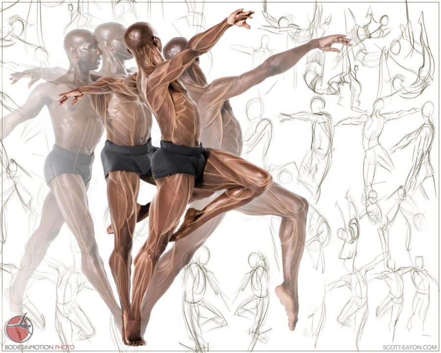 bim_dynamicfigure_2k