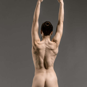 Back arms lower scapula retract — figure reference