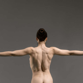 Scapulo humeral rhythm backView — figure reference