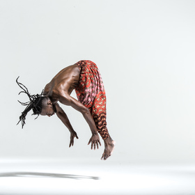 African capoeira 12 — figure reference