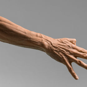 Athletic male hand 1 — figure reference