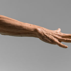 Athletic male hand 3 — figure reference