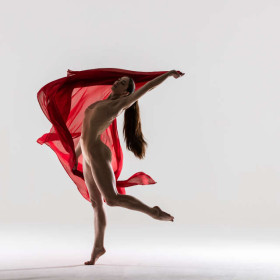 Elle silk 05 — figure reference