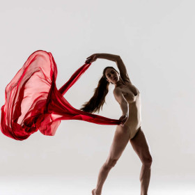 Elle silk 06 — figure reference