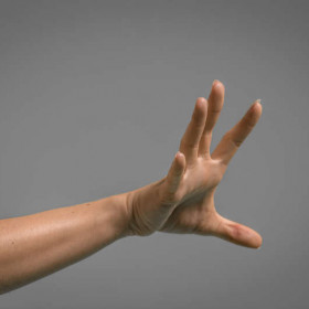 Female hands 5 — figure reference