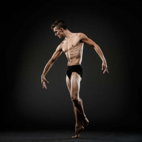 Benji dark 04 — figure reference