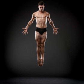 Benji dark 13 — figure reference