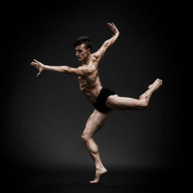 Benji dark 15 — figure reference