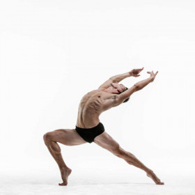 Dance benji 22 — figure reference