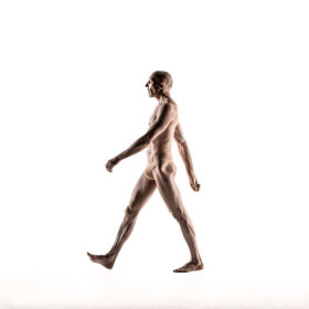 Louis walk — figure reference