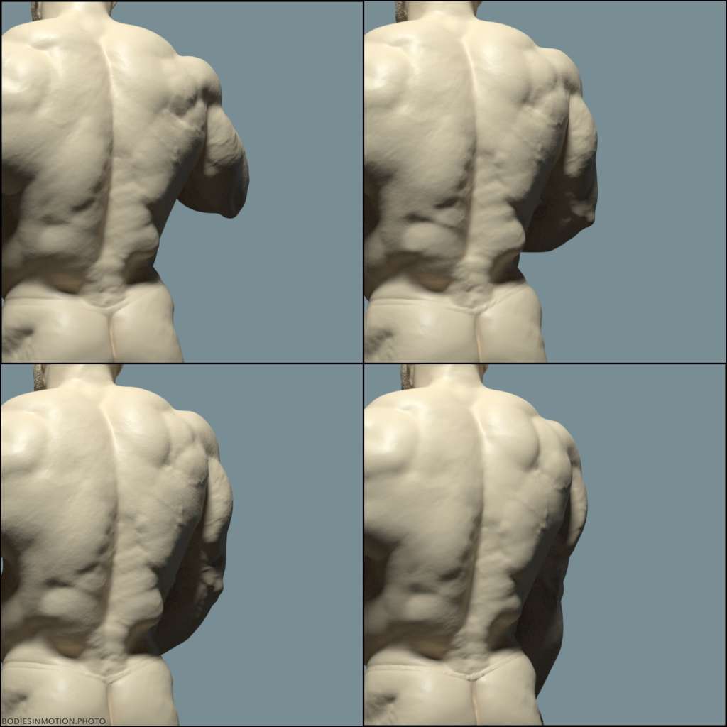 Muscular male triceps extension keyLightBlue — figure reference