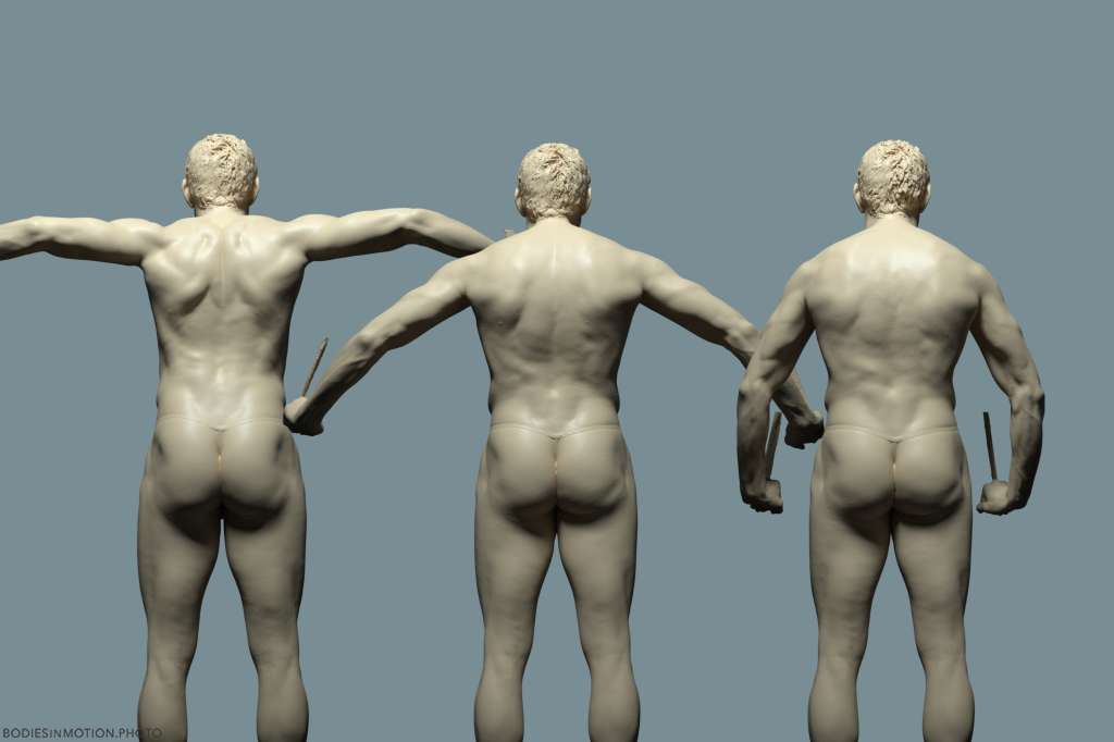 BaseMale chest press lower keyLightBlue — figure reference
