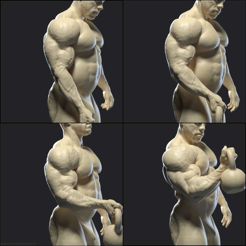 Muscular Male Arm Curl threePoint — figure reference