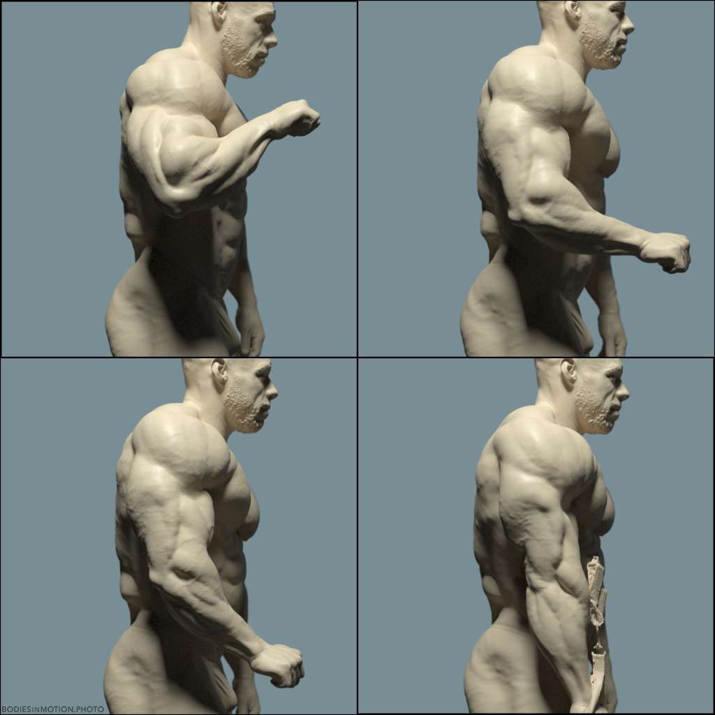 MuscularMale arm extension keyLightBlue — figure reference