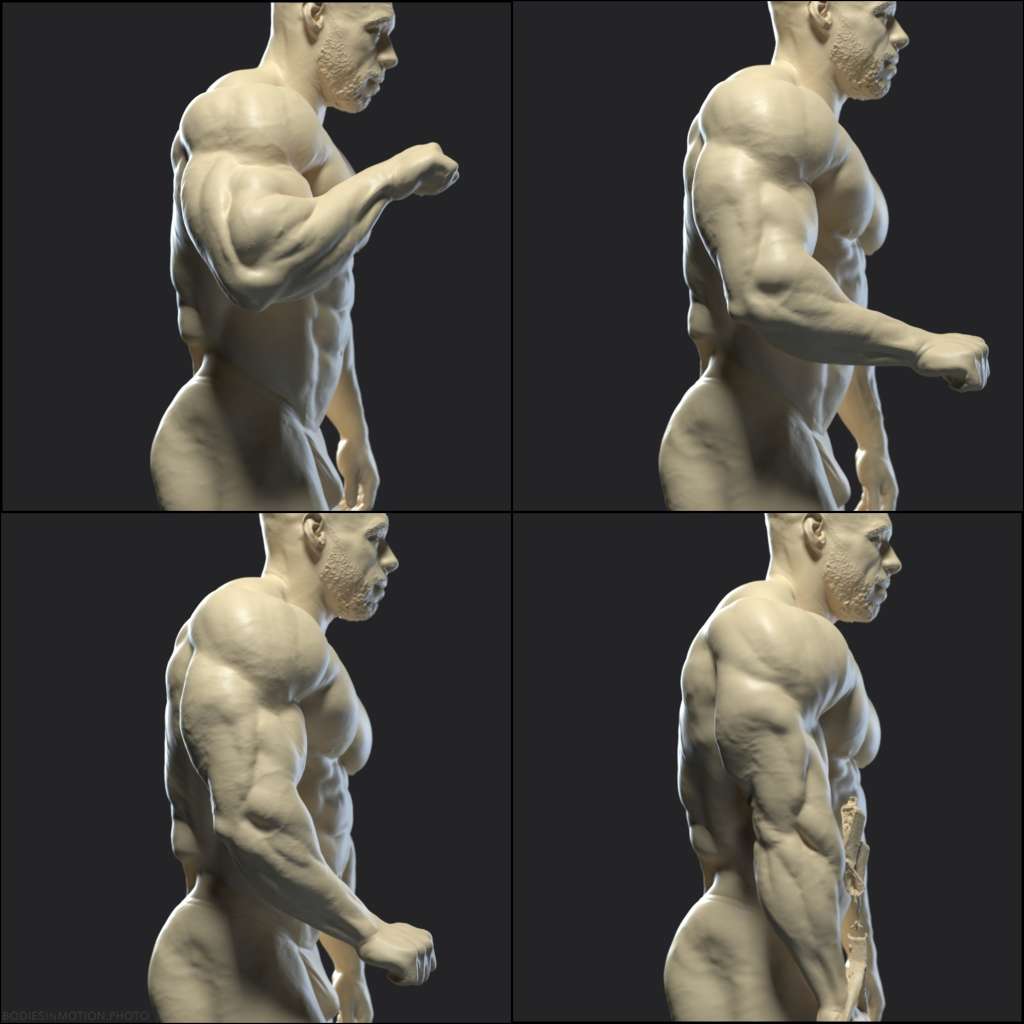 MuscularMale arm extension threePoint — figure reference