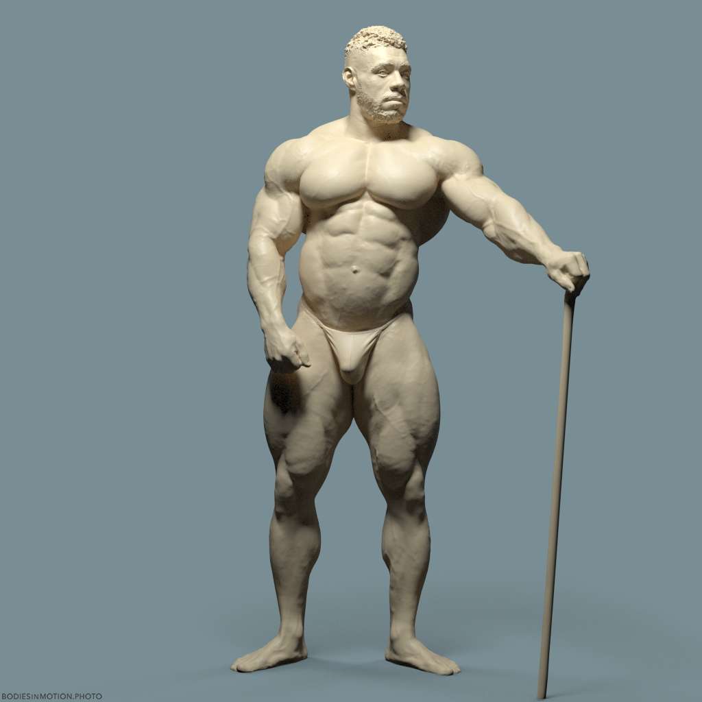 MuscularMale pose 12 keyLightBlue — figure reference
