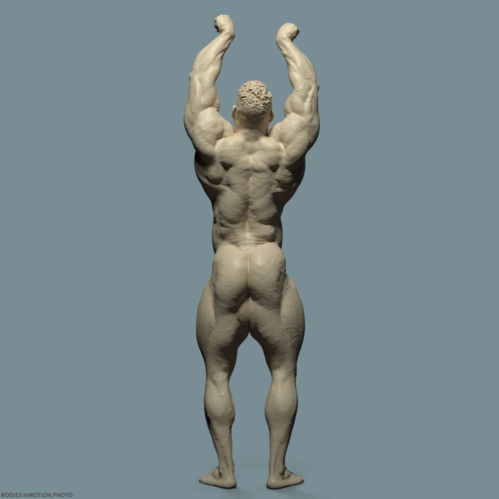 MuscularMale pose 2 keyLightBlue — figure reference