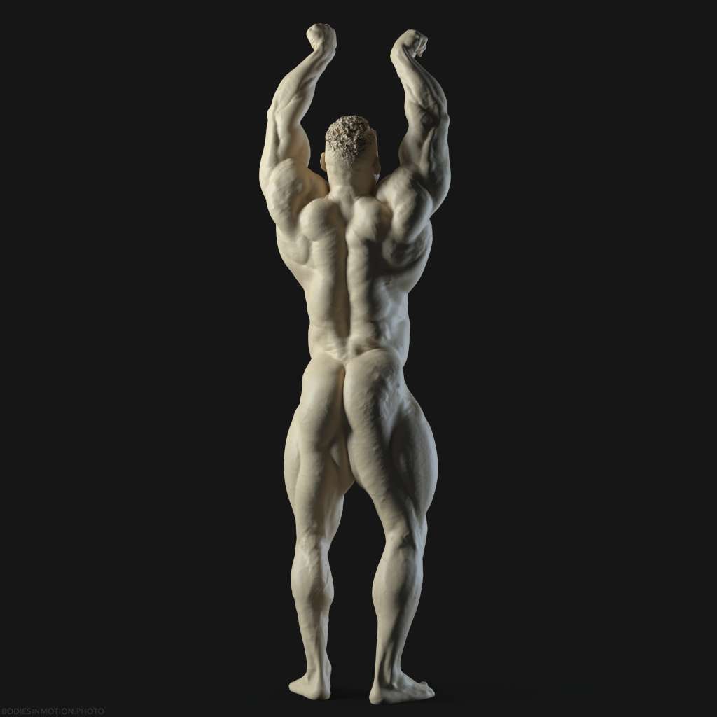 MuscularMale pose 2 rim — figure reference