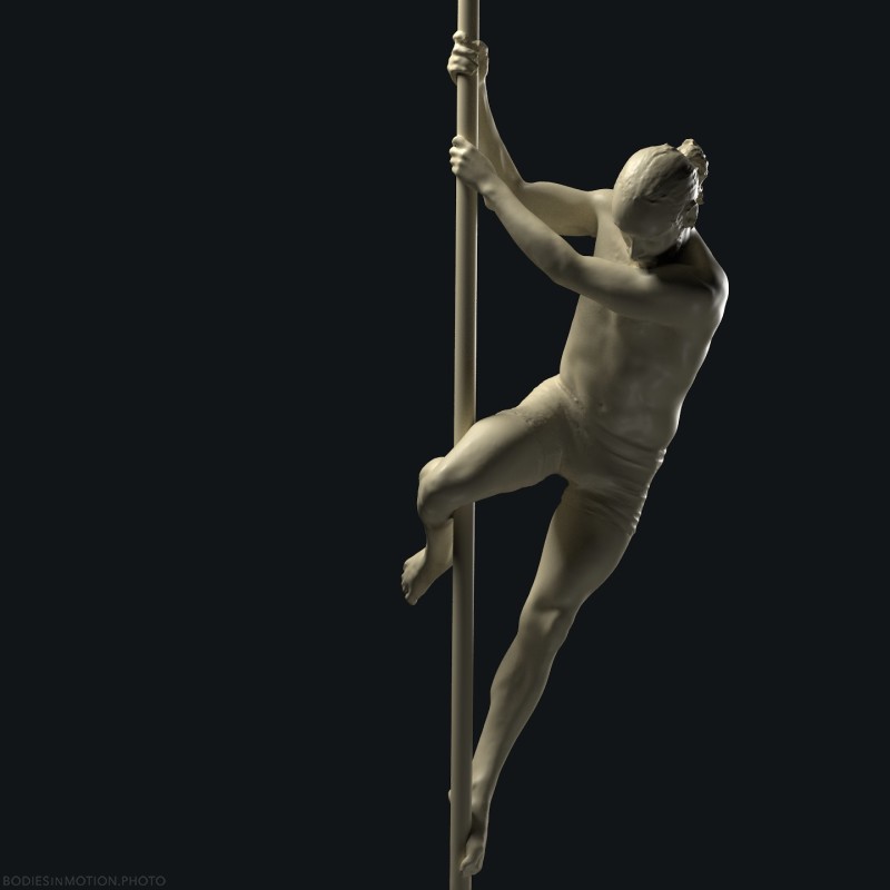 ChinesePole 1 1 threePointDark — figure reference
