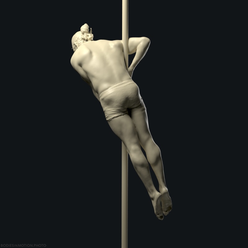 ChinesePole 1 4 threePointDark — figure reference